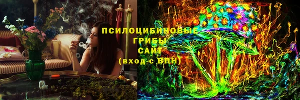 mix Богородицк